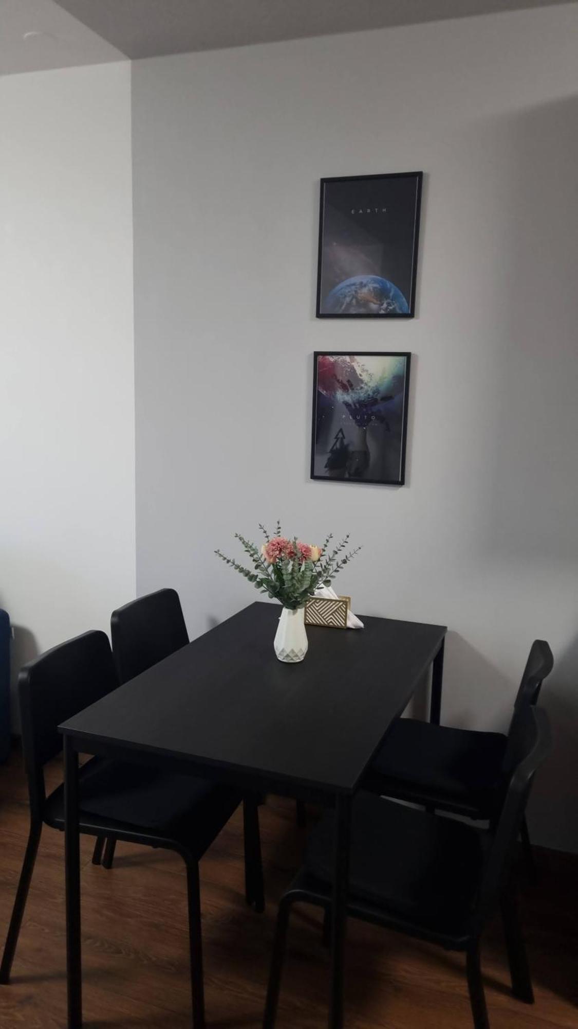 Studio Apartman 404-401 Vukovar Bagian luar foto